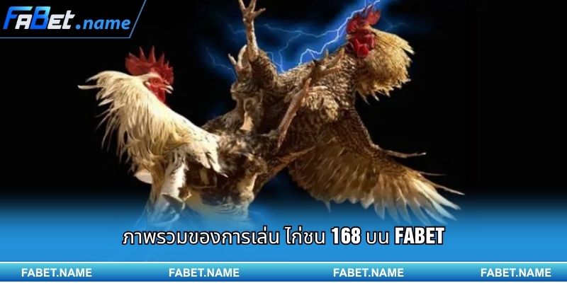ไก่ชน 168 FABET – เวทีชนไก่ระดับพรีเมียม ที่เต็มไปด้วยความมันส์ทุกวินาที 1 ภาพรวมของการเล่น ไก่ชน 168 บน FABET