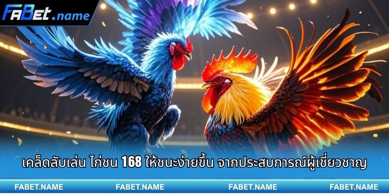 ไก่ชน 168 FABET – เวทีชนไก่ระดับพรีเมียม ที่เต็มไปด้วยความมันส์ทุกวินาที 2 เคล็ดลับเล่น ไก่ชน 168 ให้ชนะง่ายขึ้น จากประสบการณ์ผู้เชี่ยวชาญ