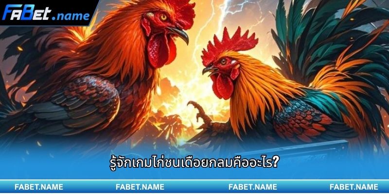 ไก่ชนเดือยกลม กำลังกลายเป็นกระแสใหม่บน FABET 1 รู้จักเกมไก่ชนเดือยกลมคืออะไร?